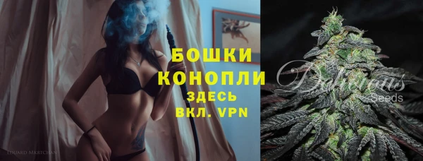 Альфа ПВП Гусь-Хрустальный