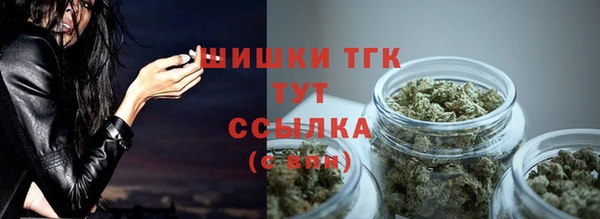 сатива Вязьма