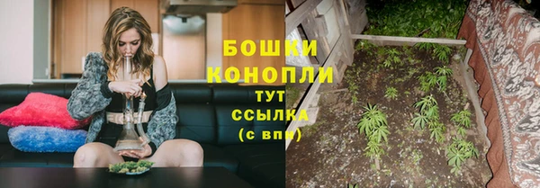 сатива Вязьма