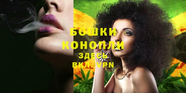 сатива Вязьма