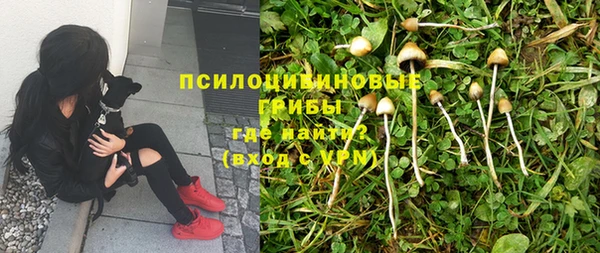 сатива Вязьма
